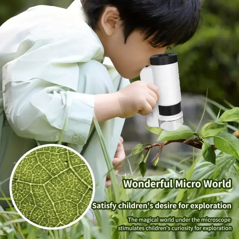 microscope5.webp
